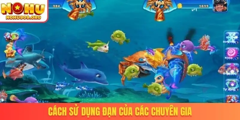 Cách sử dụng đạn của các chuyên gia