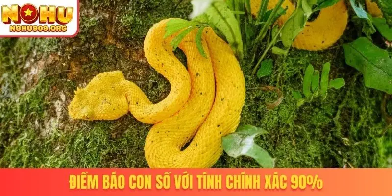 Điềm báo con số với tính chính xác 90%