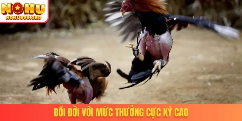 Đổi đời với mức thưởng cực kỳ cao