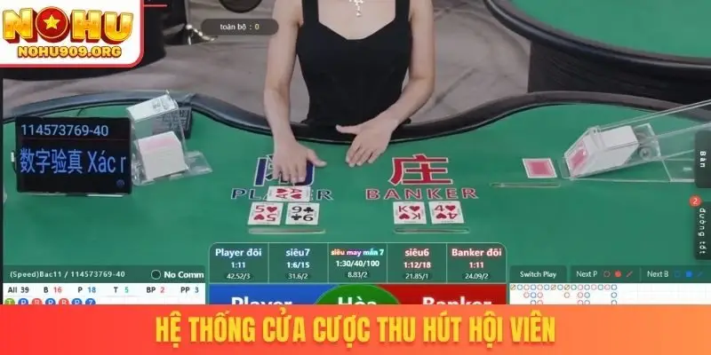 Hệ thống cửa cược thu hút hội viên