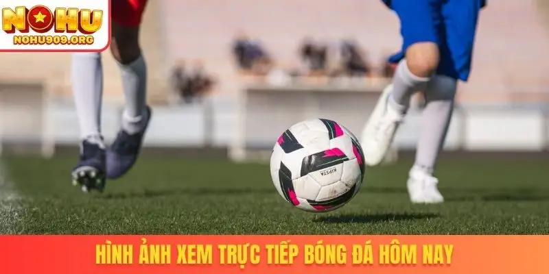 Hình ảnh xem trực tiếp bóng đá hôm nay