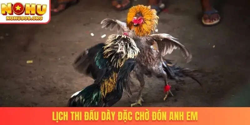 Lịch thi đấu dày đặc chờ đón anh em
