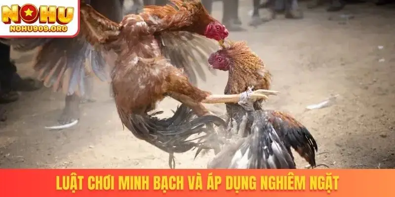 Luật chơi minh bạch và áp dụng nghiêm ngặt
