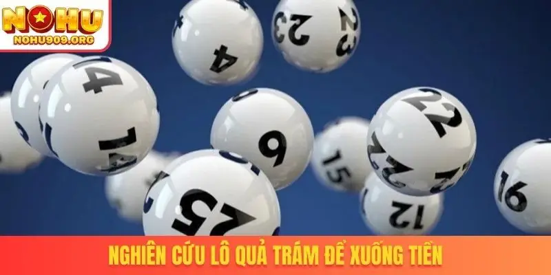 Nghiên cứu lô quả trám để xuống tiền