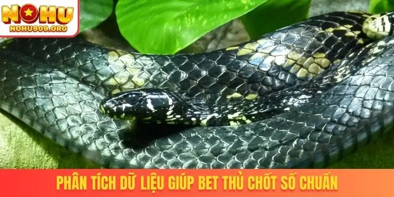 Phân tích dữ liệu giúp bet thủ chốt số chuẩn