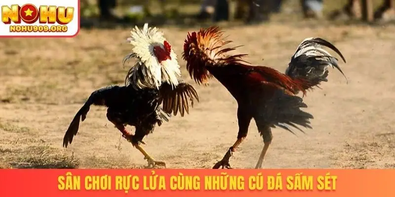 Sân chơi rực lửa cùng những cú đá sấm sét