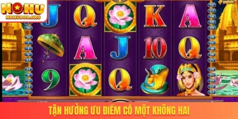 Tận hưởng ưu điểm có một không hai